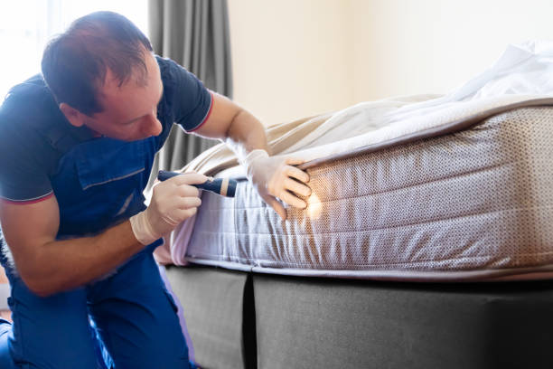 Best Bed Bug Extermination  in Cambria, IL